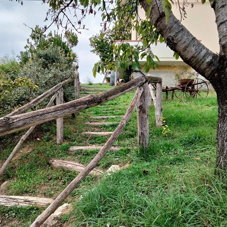 Casa Il Canto Tortoreto Eksteriør bilde