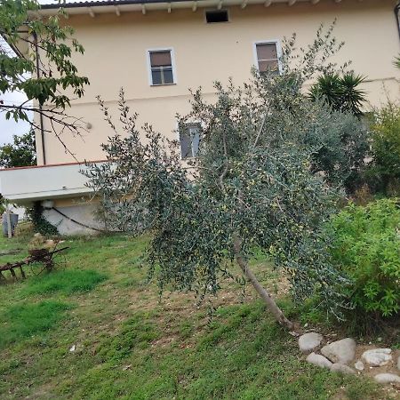 Casa Il Canto Tortoreto Eksteriør bilde