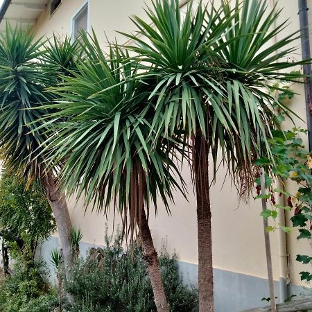 Casa Il Canto Tortoreto Eksteriør bilde